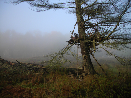 treehouse3.jpg