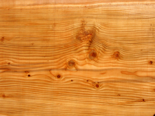 cedargrain
