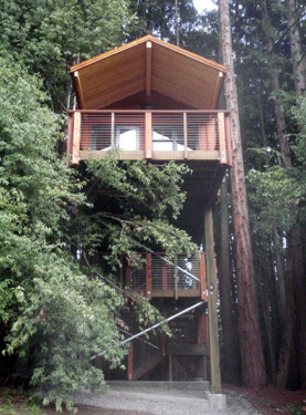 house of tree house of tree