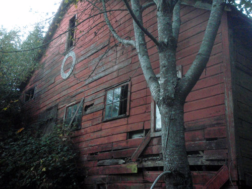 occidental yacht club