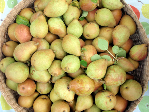 pears1