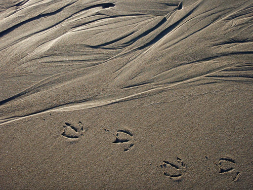 sand pattern16