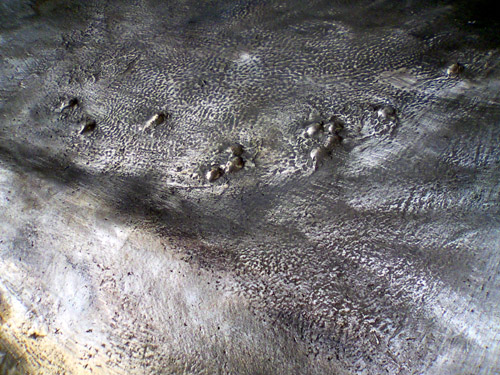 fluke texture fluke texture