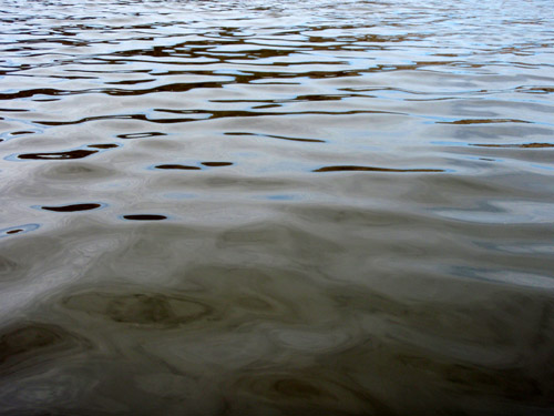 estero water2 estero water2