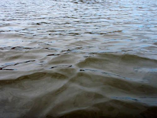 estero water3 estero water3