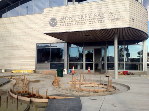 fluke site5 fluke site5