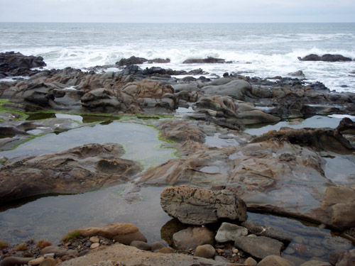 tide pool tide pool