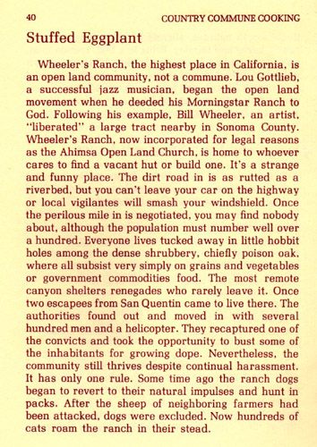 stuffed eggplant1 stuffed eggplant1