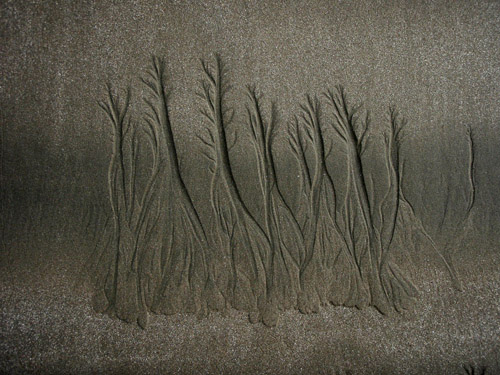 sand tree3