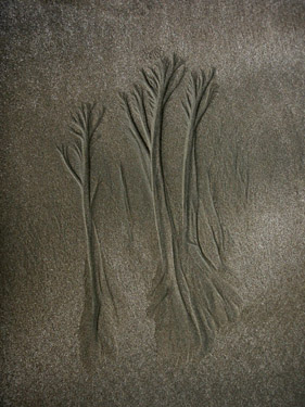 sand tree5