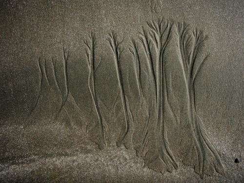 sand tree7