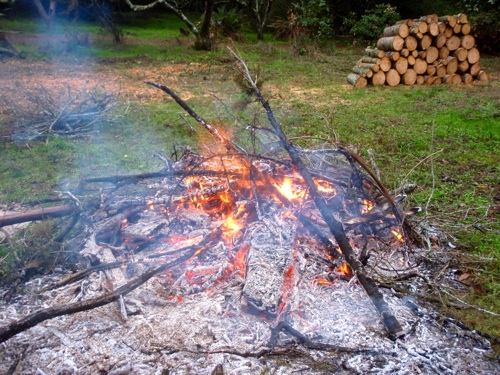bonfire1 bonfire1